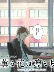 泡泡影视综艺明日厨房海报